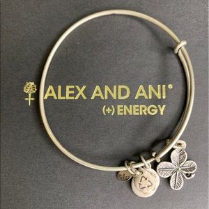 Alex and Ani Bracelet